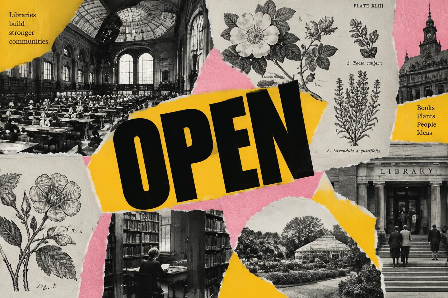 Archival library photographs collaged with yellow and pink blocks.